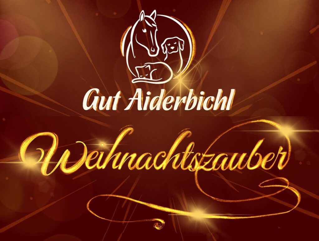 Gut Aiderbichl Weihnachtszauber - Die schönste tierische Weihnacht im deutschen Fernsehen (© Gut Aiderbichl Ballermann Ranch)